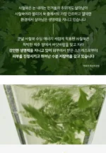 سيروم معالج للبشرة Artemisia Soothing Energy Serum من كوندال KUNDAL - Image 6